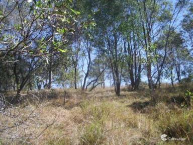 Residential Block Sold - QLD - Horse Camp - 4671 - 10.04 Ha Bush Block with Bus  (Image 2)