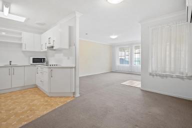 Unit Leased - NSW - Raymond Terrace - 2324 - WELL PRESENTED UNIT CLOSE TO CBD (Image 2)