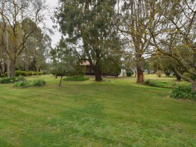 House Sold - NSW - Wombat - 2587 - 4 Bedroom Home on a Spacious 2,023m2 Parcel of Land  (Image 2)