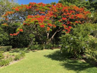 House For Sale - NSW - Coffs Harbour - 2450 - Luxury Trophy Home with Beautiful Gardens (Image 2)