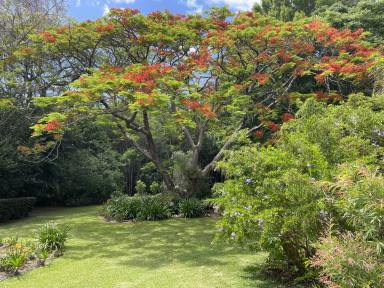 House For Sale - NSW - Coffs Harbour - 2450 - Luxury Trophy Home with Beautiful Gardens  (Image 2)