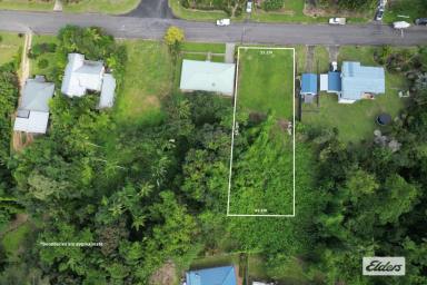 Residential Block Sold - QLD - Tully - 4854 - 1189sqm Residential  block is ready to build on.  (Image 2)