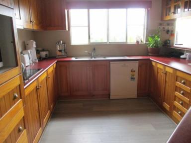 House Leased - QLD - Macknade - 4850 - NEAT HOME WITH ENTERTAINING AREA AVAILABLE END OF SEPTEMBER 2023 @ $400p/w  (Image 2)
