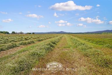 Mixed Farming For Sale - QLD - Mutchilba - 4872 - PRIME MUTCHILBA CROPPING LAND  (Image 2)