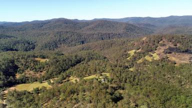 Other (Rural) Sold - NSW - Yarrowitch - 2354 - High Rainfall Cattle Grazing Acres  (Image 2)