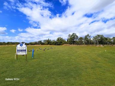 Residential Block For Sale - QLD - Mareeba - 4880 - Lot 231 RESIDENTIAL LAND at THE EDGE  (Image 2)