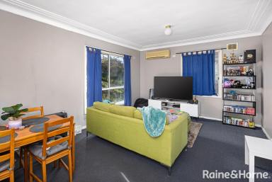 House Sold - NSW - Mount Austin - 2650 - Entry Level First Home or Investment  (Image 2)