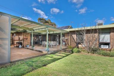 House Sold - VIC - Irymple - 3498 - A LIFESTYLE FOR ALL TO ENJOY  (Image 2)