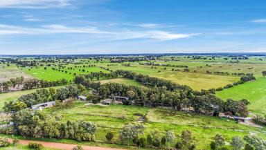 Lifestyle Sold - WA - Uduc - 6220 - LOOKING FOR THE FARM LIFESTYLE!  (Image 2)