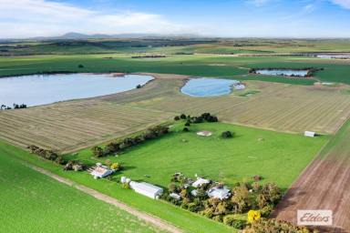 Mixed Farming Sold - VIC - Rossbridge - 3377 - 'Salt Lakes' - Premium Mixed Farm In A Well Held Area  (Image 2)