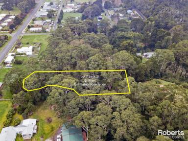 Residential Block For Sale - TAS - Strahan - 7468 - Block of land in the heart of Strahan  (Image 2)