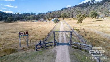 Lifestyle For Sale - NSW - Tenterfield - 2372 - Ultimate Rural Lifestyle  (Image 2)