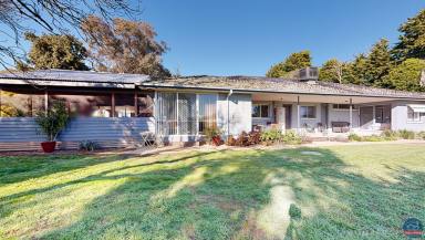 Cropping For Sale - VIC - Undera - 3629 - 'Bluebell Park'  (Image 2)