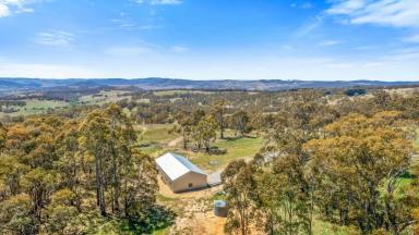 Other (Rural) For Sale - NSW - Hazelgrove - 2787 - “Meadows Valley” 40.2 Hectares - 99.29 Acres*  (Image 2)