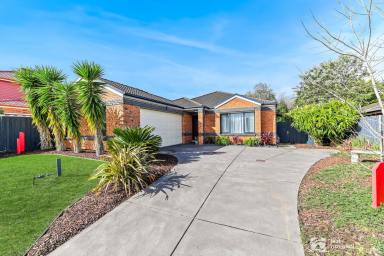 House Sold - VIC - Narre Warren South - 3805 - PRESENTATION PERFECT IN NARRE WARREN SOUTH  (Image 2)