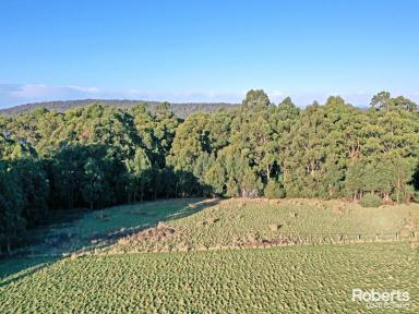 Lifestyle For Sale - TAS - Southport - 7109 - Stunning Southport Acreage with Water Frontage  (Image 2)