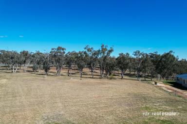 Residential Block For Sale - NSW - Inverell - 2360 - CREATE YOUR DREAM LIFESTYLE  (Image 2)