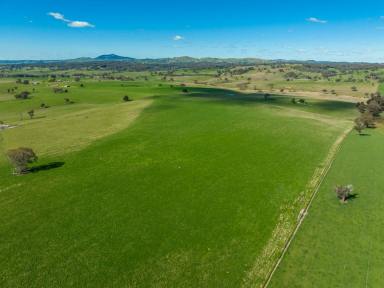 Other (Rural) Sold - NSW - Garland - 2797 - “TRILEE” HIGH RAINFALL, TABLELANDS GRAZING  (Image 2)