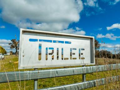 Other (Rural) Sold - NSW - Garland - 2797 - “TRILEE” HIGH RAINFALL, TABLELANDS GRAZING  (Image 2)