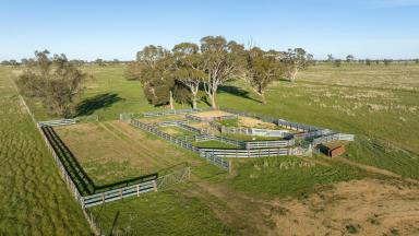 Mixed Farming For Sale - VIC - Apsley - 3319 - Lot 42A and 42B Davies Road, Apsley  (Image 2)