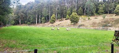 Lifestyle For Sale - TAS - Aberdeen - 7310 - Acreage, Elevated Views, River Frontage - Wilderness Values on Town Edge  (Image 2)