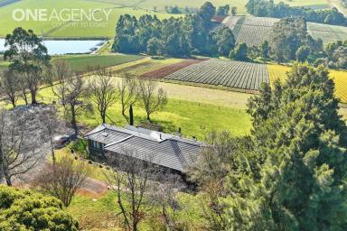 Acreage/Semi-rural Sold - VIC - Ellinbank - 3821 - SPRINGBANK - The perfect country lifestyle  (Image 2)