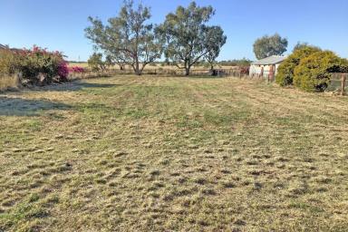 Residential Block Sold - QLD - Longreach - 4730 - 1,214 sqm Vacant Block with Town Common Views  (Image 2)