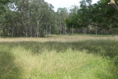 Lifestyle Sold - NSW - Rocky River - 2372 - DIRECT RIVER FRONTAGE  (Image 2)