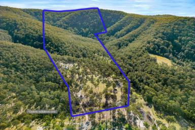 Acreage/Semi-rural Sold - NSW - Booral - 2425 - IDEAL WEEKENDER WITH ACCOMMODATION WHILE YOU BUILD YOUR DREAM GETAWAY  (Image 2)