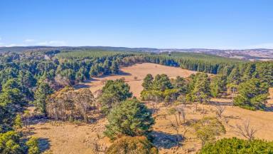 Other (Rural) Sold - NSW - Kirkconnell - 2795 - CHURLINGPA
-
23Ha or 59Ac  (Image 2)