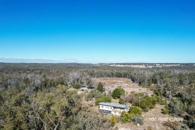Lifestyle For Sale - NSW - Inverell - 2360 - THE QUIET LIFE  (Image 2)