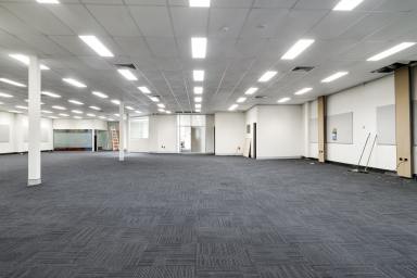 Office(s) For Lease - QLD - Toowoomba City - 4350 - 450 sqm. CBD Tenancy with Car Parking - A Grade Building  (Image 2)