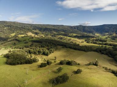 Lifestyle Sold - NSW - Jamberoo - 2533 - 'Willandra' - Escape to the Country  (Image 2)