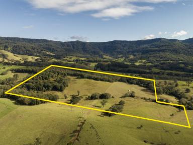 Lifestyle Sold - NSW - Jamberoo - 2533 - 'Willandra' - Escape to the Country  (Image 2)
