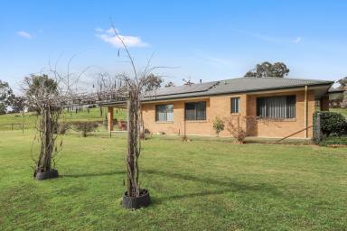 House For Sale - NSW - Tumut - 2720 - Rural Lifestyle At It's Absolute Best !!!  (Image 2)