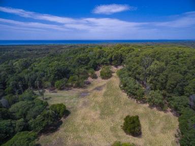 Lifestyle For Sale - NSW - Wooyung - 2483 - Unique lifetime opportunity (Image 2)