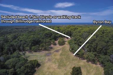 Lifestyle For Sale - NSW - Wooyung - 2483 - Unique lifetime opportunity (Image 2)