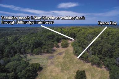 Lifestyle For Sale - NSW - Wooyung - 2483 - Unique lifetime opportunity (Image 2)
