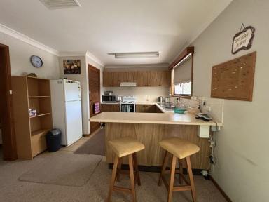 House For Sale - NSW - Lightning Ridge - 2834 - 3 bedroom home with large studio/workshop  (Image 2)