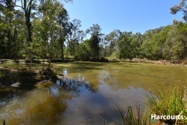 Residential Block Sold - QLD - Horton - 4660 - 25 Acres of Seclusion Just 5 minutes from Town  (Image 2)
