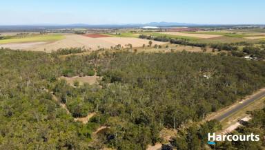 Residential Block Sold - QLD - Horton - 4660 - 25 Acres of Seclusion Just 5 minutes from Town  (Image 2)