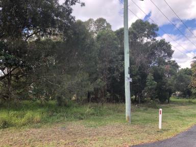 Residential Block For Sale - QLD - Macleay Island - 4184 - Corner Block with charm  (Image 2)