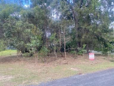 Residential Block For Sale - QLD - Macleay Island - 4184 - Corner Block with charm  (Image 2)