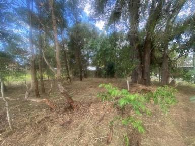 Residential Block For Sale - QLD - Macleay Island - 4184 - Corner Block with charm  (Image 2)