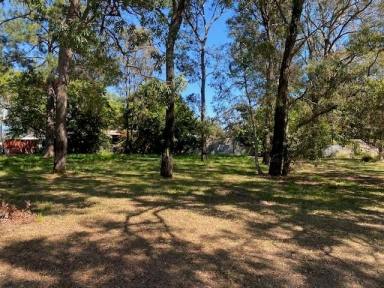 Residential Block For Sale - QLD - Macleay Island - 4184 - Semi cleared block  (Image 2)