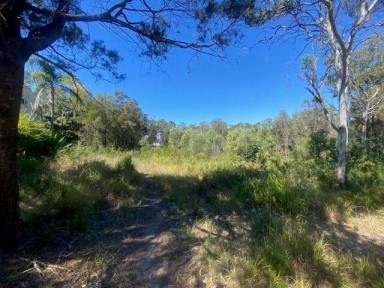 Residential Block For Sale - QLD - Macleay Island - 4184 - Large block!  (Image 2)
