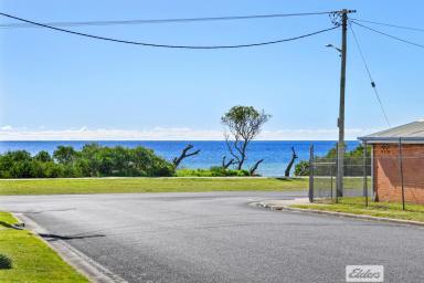 Unit For Sale - TAS - Somerset - 7322 - SUN, SAND AND A DOUBLE THE INVESTMENT  (Image 2)