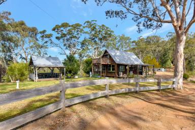 Lifestyle For Sale - NSW - Laguna - 2325 - 'Allawah' - Charming Character Cottage on a Hilltop Oasis  (Image 2)