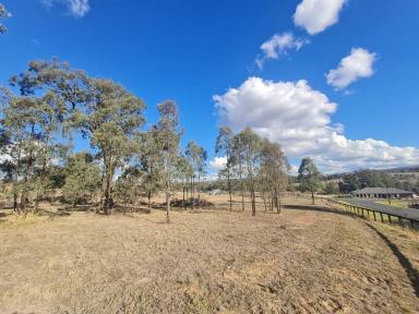 Residential Block Sold - nsw - Muswellbrook - 2333 - Fully DA Approved Vacant Land  (Image 2)
