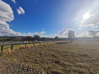 Residential Block Sold - nsw - Muswellbrook - 2333 - Fully DA Approved Vacant Land  (Image 2)